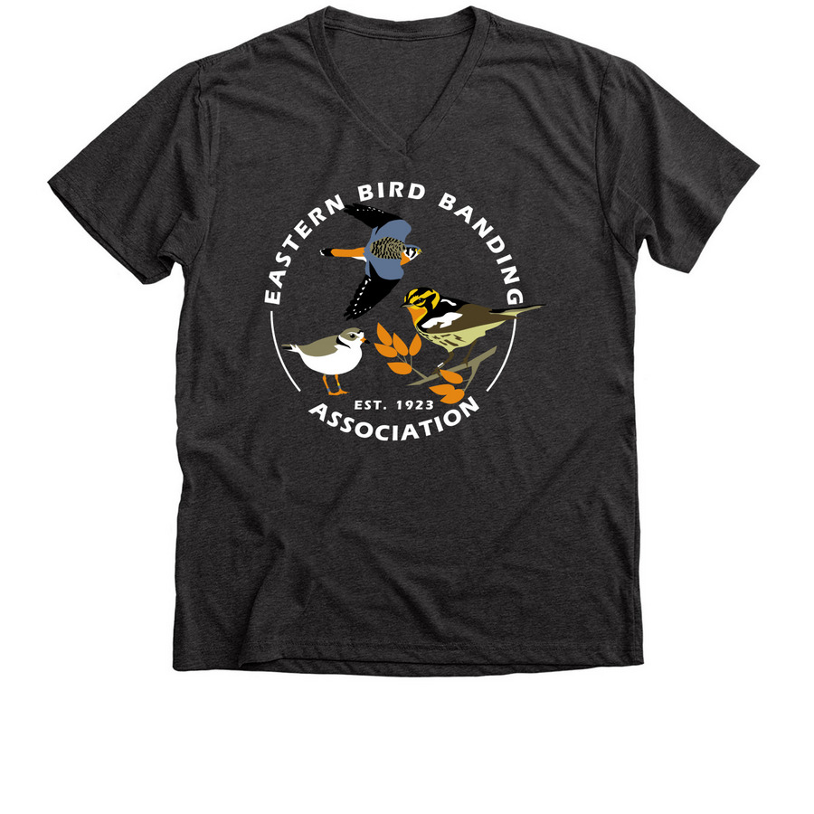 Logo Swag - White Text, a Dark Grey Heather Premium V-Neck Tee