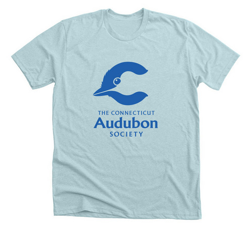 Large Blue Logo, a Heather Ice Blue Premium Unisex Tee