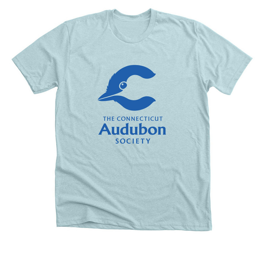 Large Blue Logo, a Heather Ice Blue Premium Unisex Tee