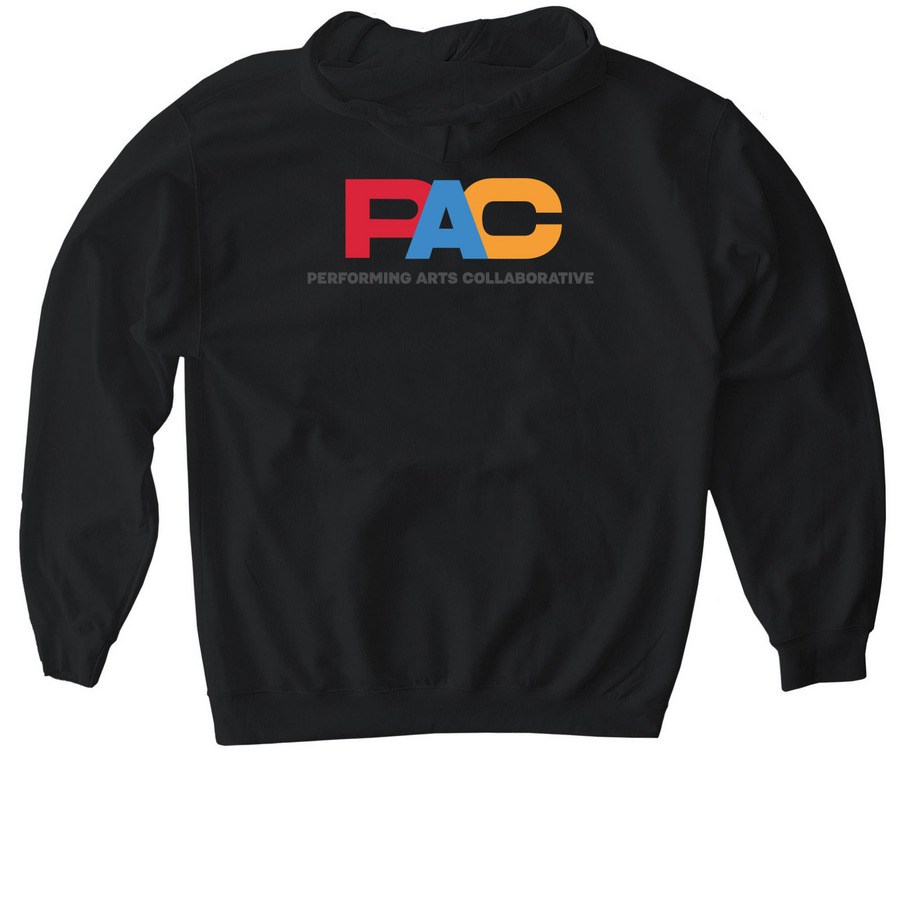 PAC Hoodie, a Black Gildan Softstyle Pullover Hoodie (back-view)