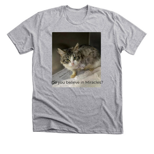 Do you believe in Miracles&nbsp;, a Athletic Heather Premium Unisex Tee