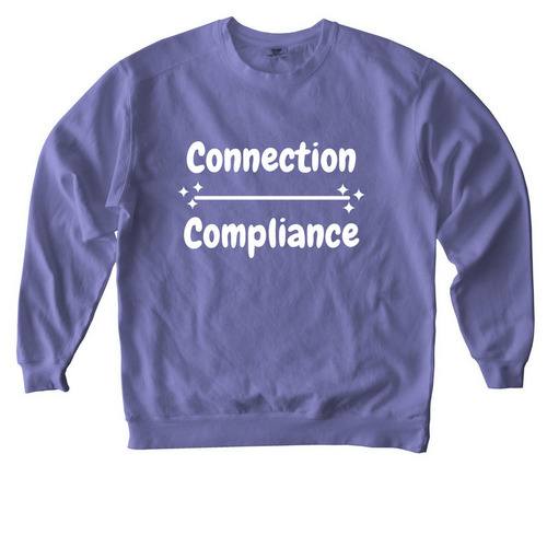 CONNECTION, a Violet Comfort Colors Crewneck Sweatshirt