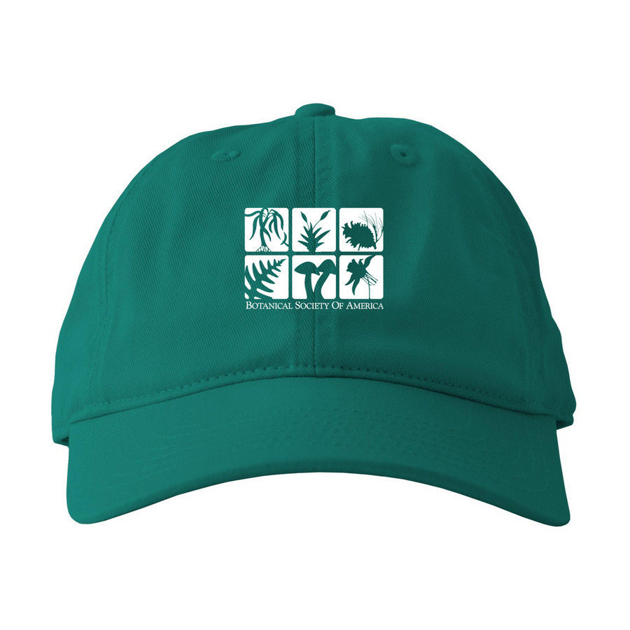 BSA Hats and Caps, a Emerald Forest Printed Eco Baseball Cap