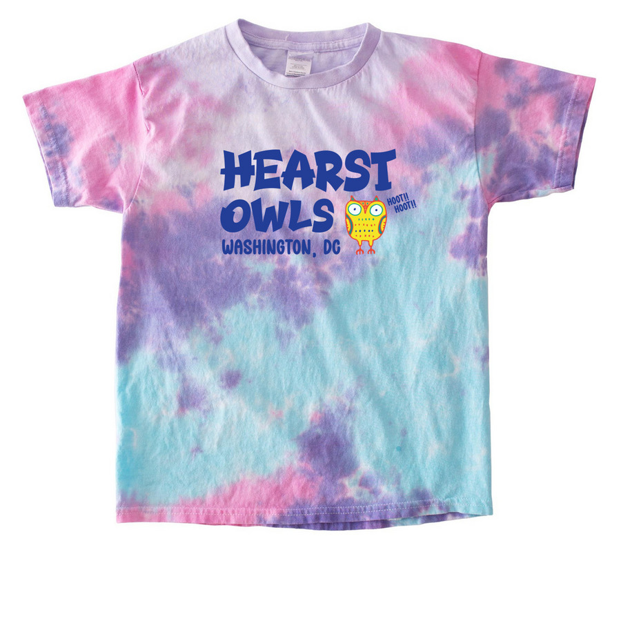 Youth Tie Dye Hoot Hoot Owl Design, a Cotton Candy Youth Tie Dye Tee