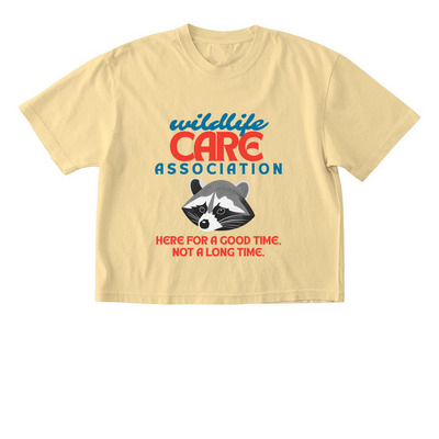Here for a good time!, a Butter Comfort Colors Boxy Tee