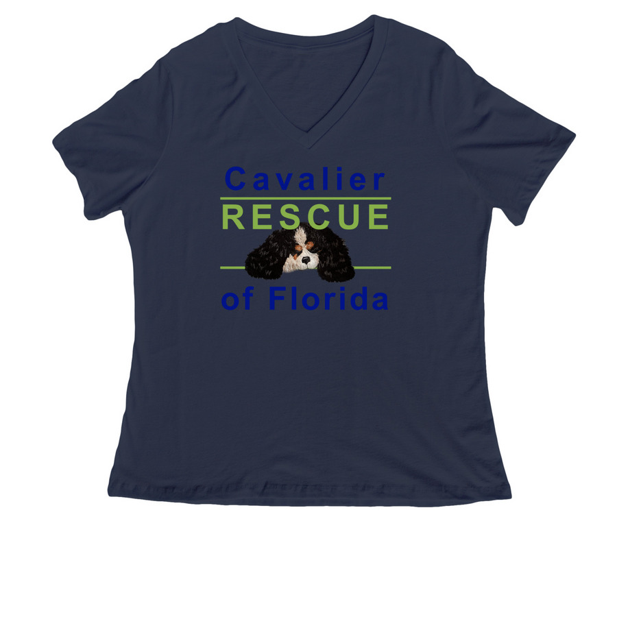 TriColor Logo Apparel, a Navy Women's Relaxed V-Neck Tee