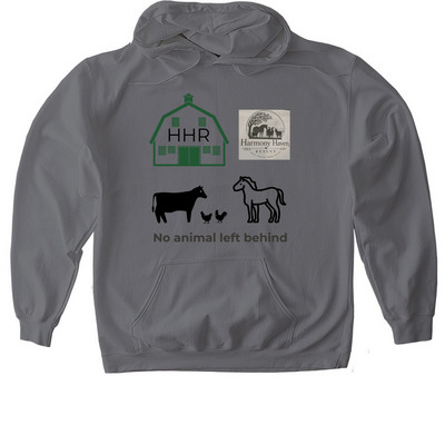 nonprofit animal rescue fundraiser, a Charcoal Gildan Softstyle Pullover Hoodie