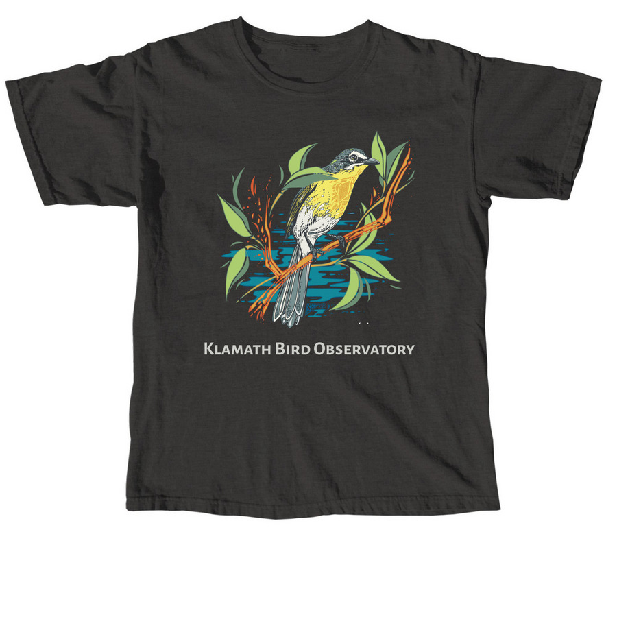 Conservation for all birds, a Pepper Comfort Colors Unisex Tee
