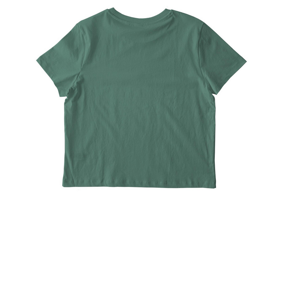 Don?t Be Ableist, a Green Bay Stanley/Stella Women?s Stella Muser Tee (back-view)