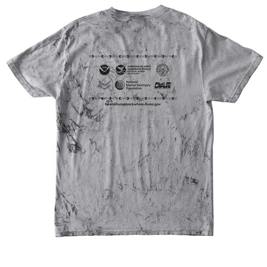 2026 Sanctuary Ocean Count, a Smoke Comfort Colors Colorblast Tee (back-view)