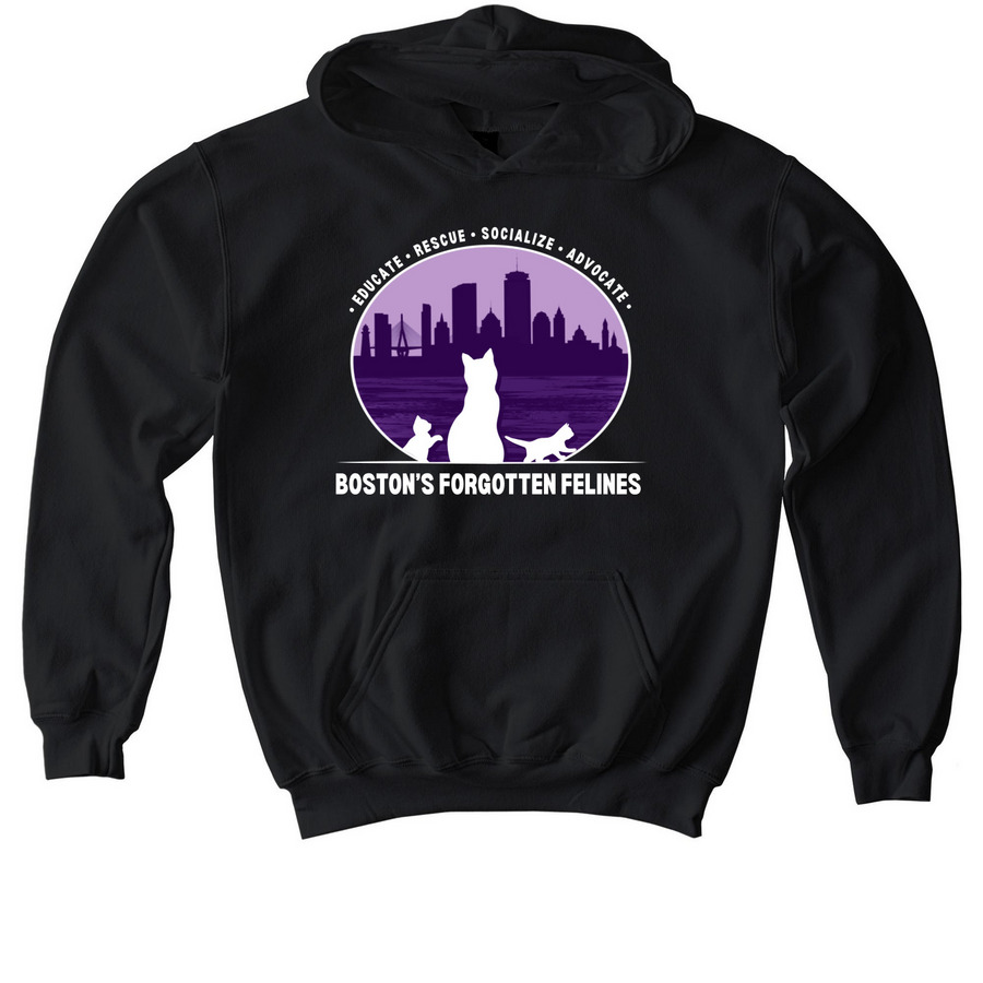 BFF Classic Logo Sweatshirt (Dark Colors), a Black Softstyle Youth Pullover Hoodie