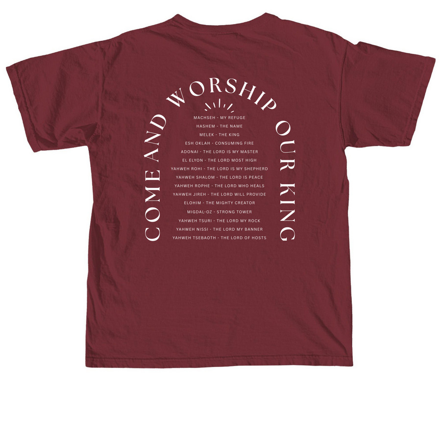 SMF 2026, a Brick Comfort Colors Unisex Tee (back-view)
