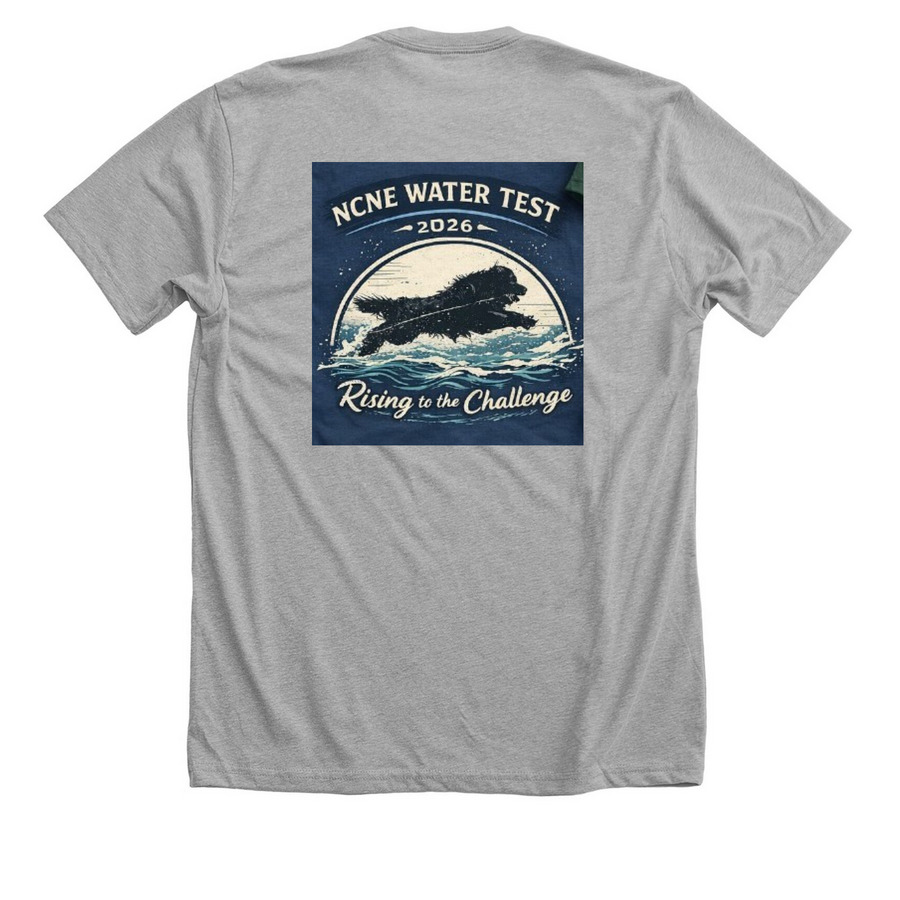 NCNE Water Test Apparel, a Athletic Heather Premium Unisex Tee (back-view)