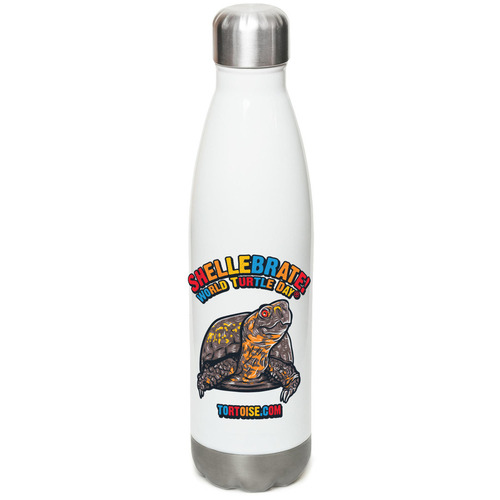 Shellebrate! Water Bottle, a White Stainless Steel Water Bottle