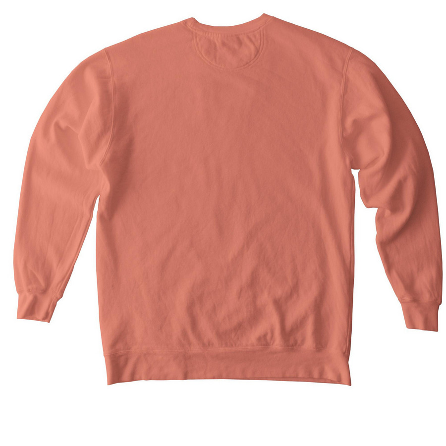 TTSGI Logo - White, a Terracotta Comfort Colors Crewneck Sweatshirt (back-view)