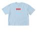 252 Boxy Tee, a Chambray Comfort Colors Boxy Tee