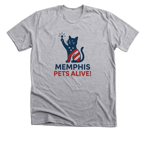 The Catue of Liberty, a Athletic Heather Premium Unisex Tee