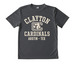 Cardinal Youth Performance Tee, a Iron Grey Youth Performance Tee