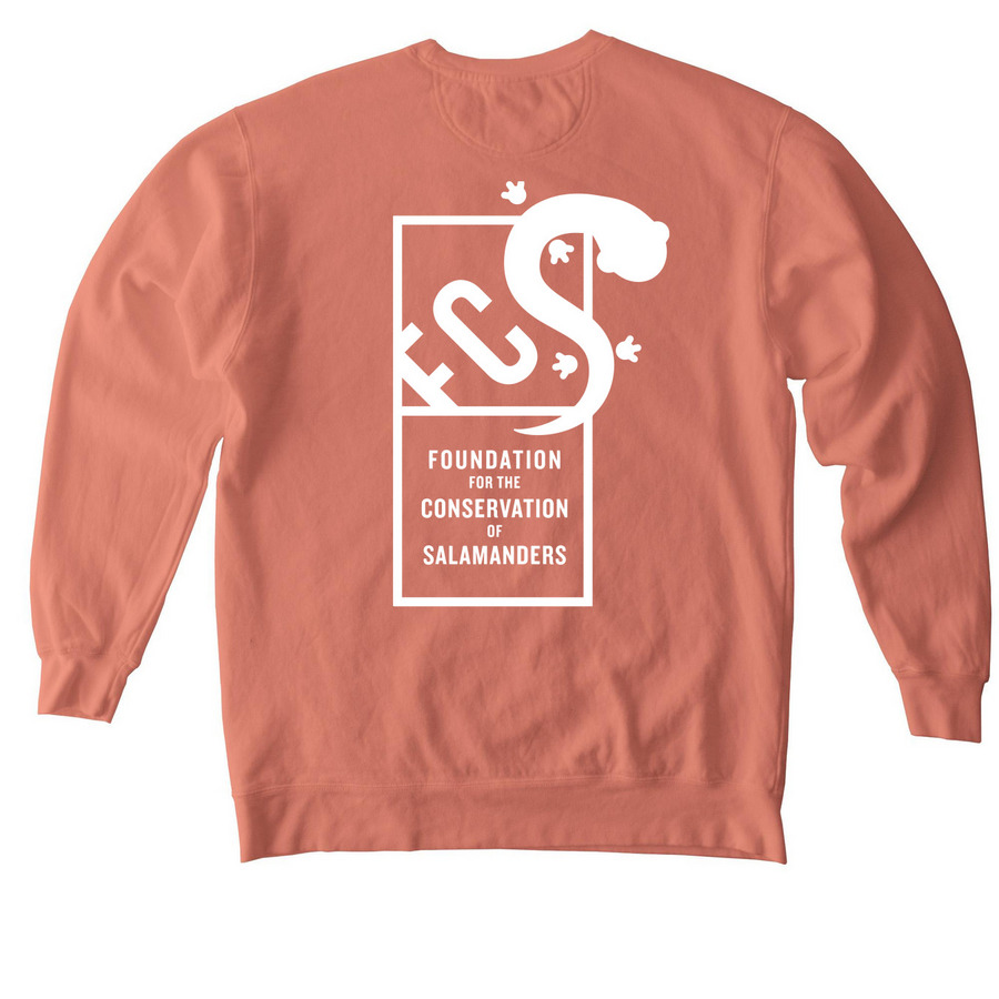 FCSal White Logo ? Show Your Support, a Terracotta Comfort Colors Crewneck Sweatshirt (back-view)