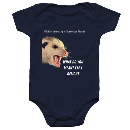 I'm a Delight, a Navy Infant Onesie