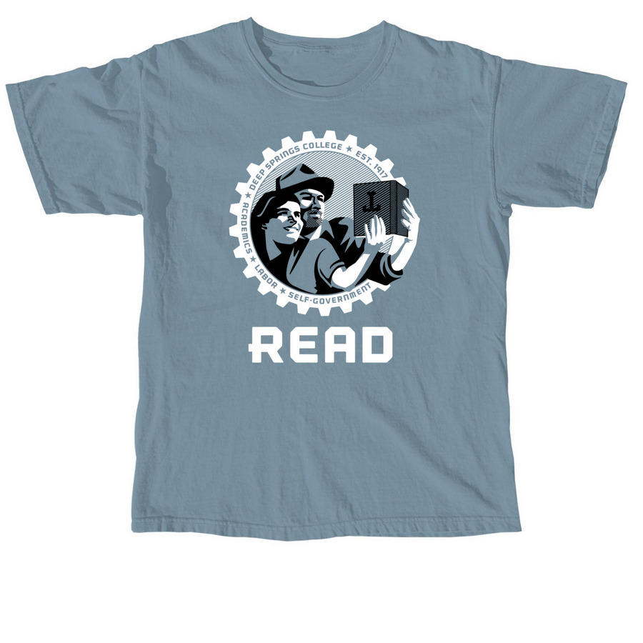 Reading Shirt, a Ice Blue Comfort Colors Unisex Tee