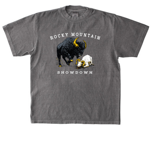 BUFFer, a Cement Heavyweight Garment Dye Tee
