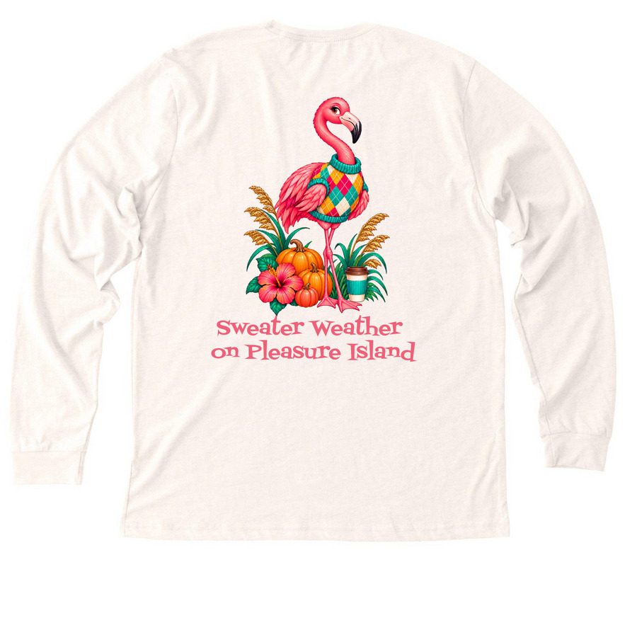 Fall 2026 Limited Edition Long Sleeve, a Heather Natural Premium Long Sleeve Tee (back-view)