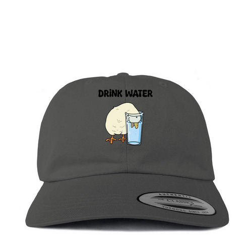 Drink Water Hat, a Dark Gray Printed Classic Baseball Cap