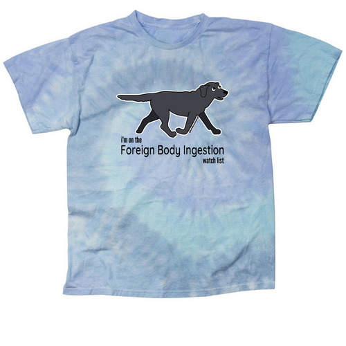 FBI Watchlist (black), a Lagoon Classic Tie Dye Tee