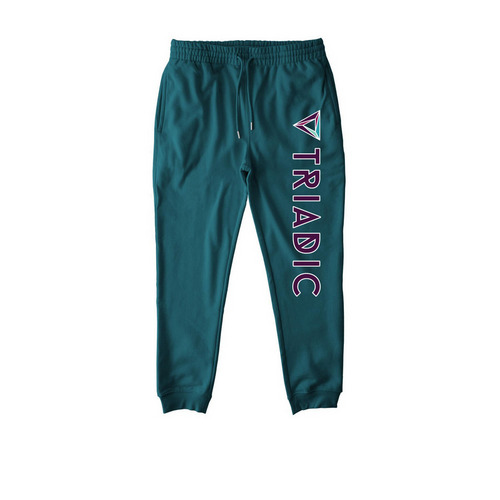 Triadic Vocals Front/Back Joggers, a Stargazer Stanley/Stella Unisex Flyer Jogger