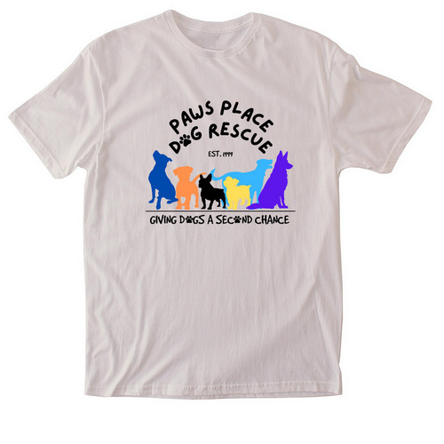 Since 1999, a Ice Grey Softstyle Cotton Tee