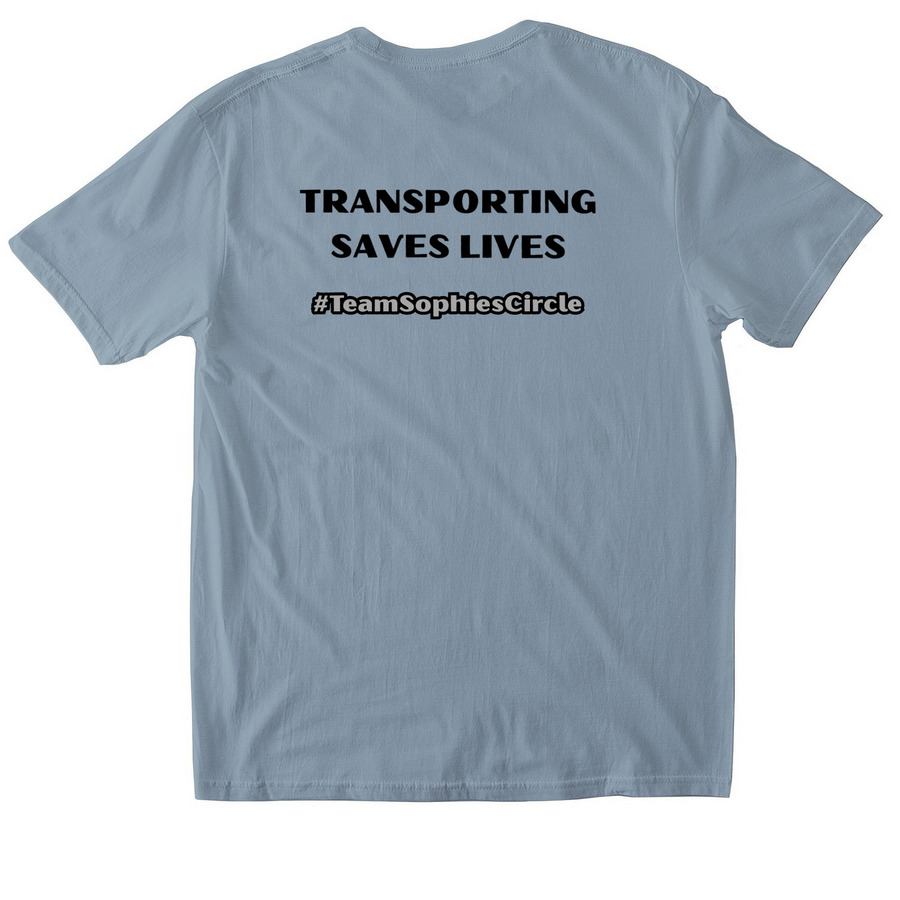 Sophie?s Circle Special Ops, a Stone Blue Softstyle Cotton Tee (back-view)