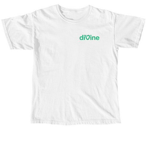 Plain White Comfort Tee, a White Comfort Colors Unisex Tee