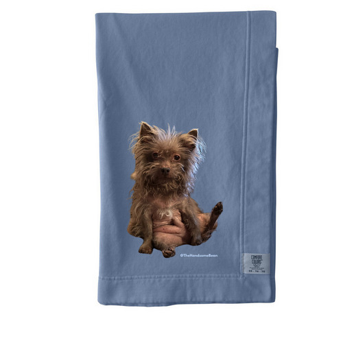 Snuggle Ted, a Blue Jean Comfort Colors Blanket