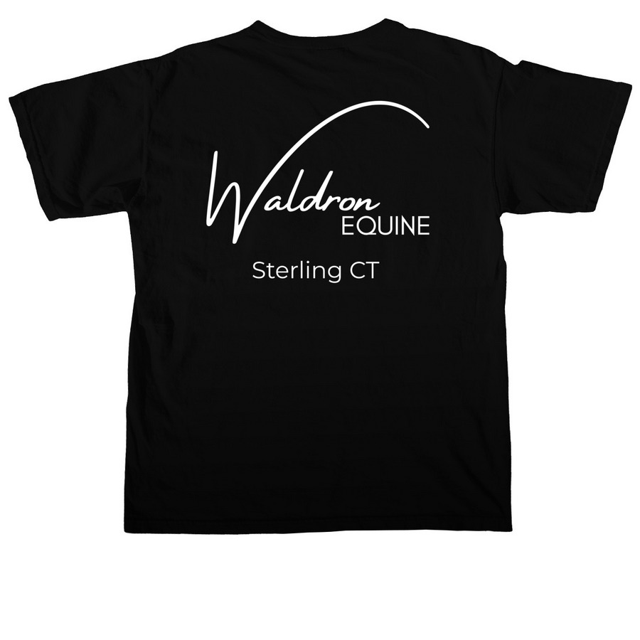 Schooling shirt&nbsp;, a Black Comfort Colors Unisex Tee (back-view)