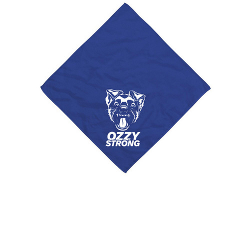 Dog/Human Bandana, a Royal Cotton Bandana