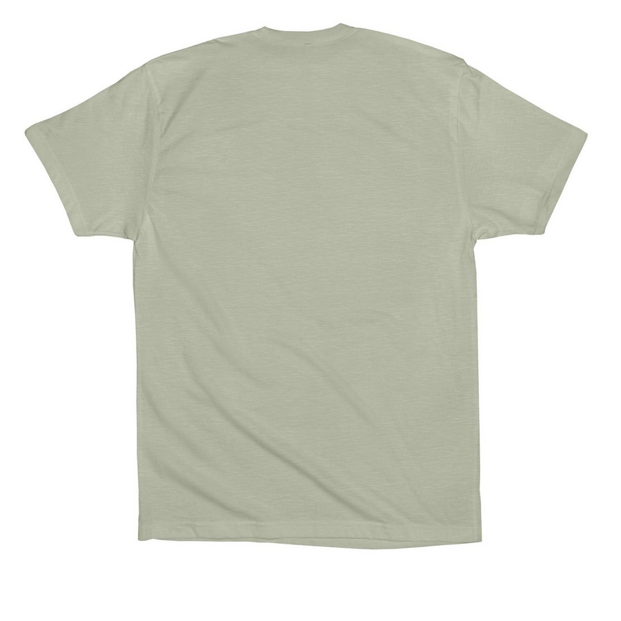Pixelle's t-shirt, a Thyme Premium Cotton Tee (back-view)