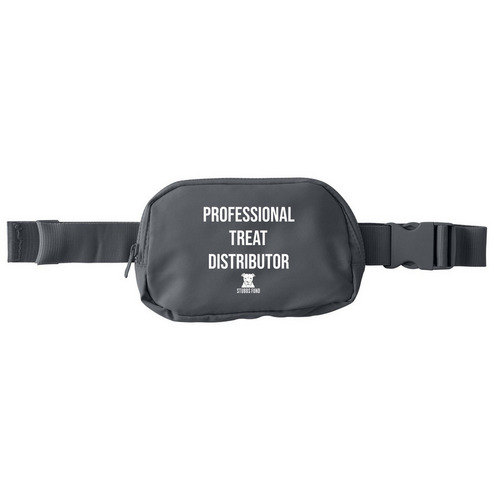 test, a Storm Grey Matte Hip Pack