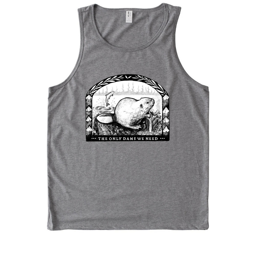 Only Dams We Need, a Aluminum Grey Allmade Eco Triblend Tank