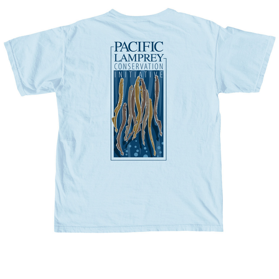 PLCI Shirts and Sweatshirts, a Chambray Comfort Colors Unisex Tee (back-view)