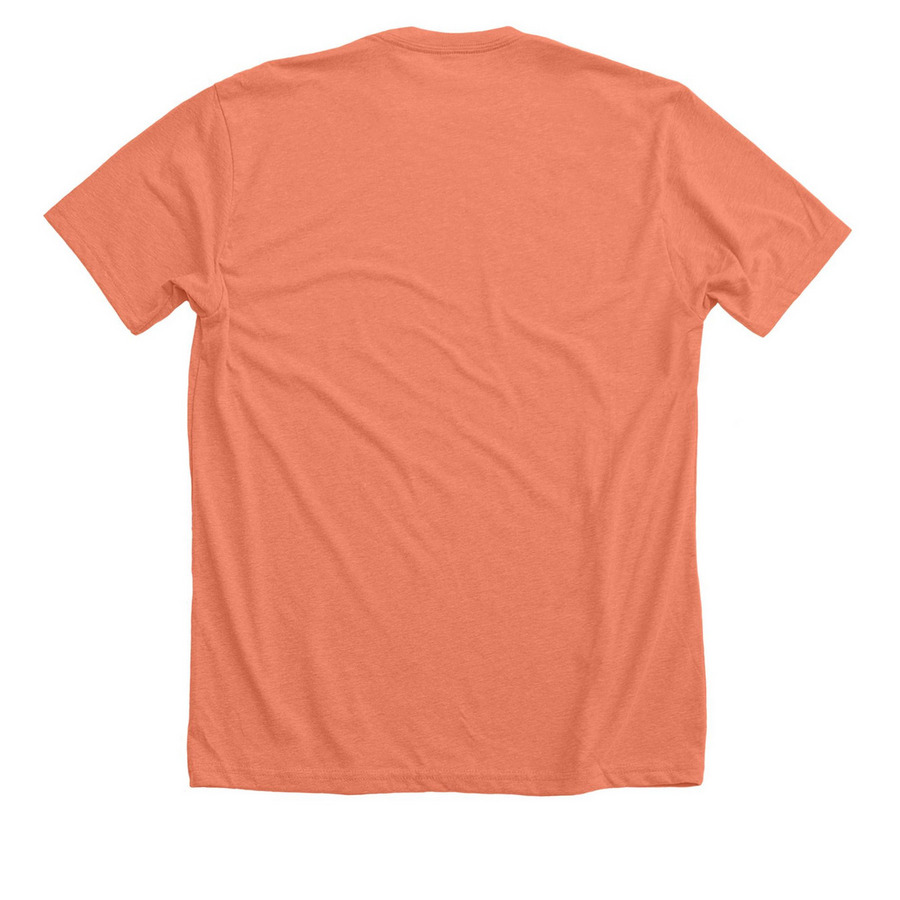 Iconic Tee, a Heather Sunset Premium Unisex Tee (back-view)