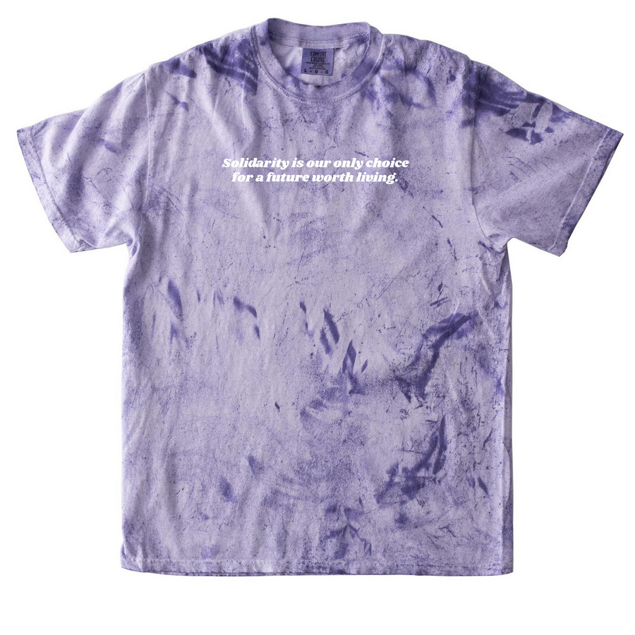 Solidarity is our only option., a Amethyst Comfort Colors Colorblast Tee