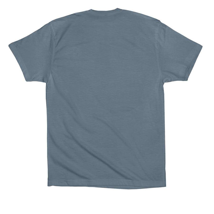 Bringing ?sister? home, a Slate Premium Cotton Tee (back-view)