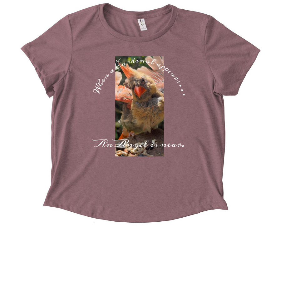 An angel is near.&nbsp;, a Vintage Rose Allmade Eco Triblend Women?s Scoop Neck Tee