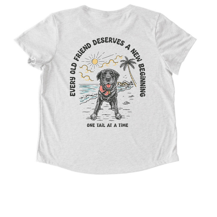 Every Old Friend Deserves A New Beginning, a Fairly White Allmade Eco Triblend Women?s Scoop Neck Tee (back-view)