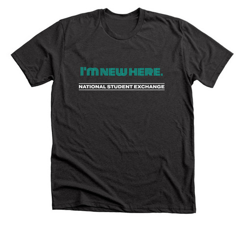 I'm new here t-shirt, a Dark Grey Heather Premium Unisex Tee