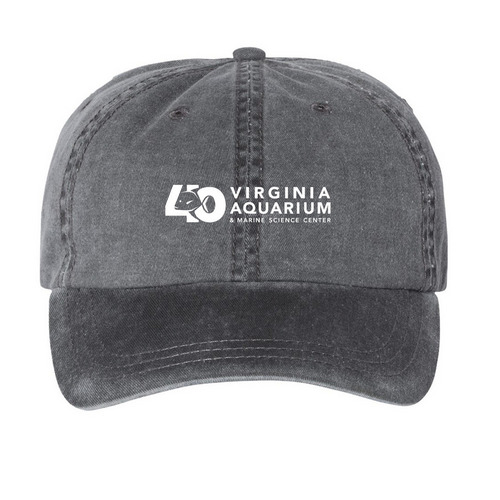 Virginia Aquarium 40th Anniversary, a Black Printed Pigment Dye Baseball Cap