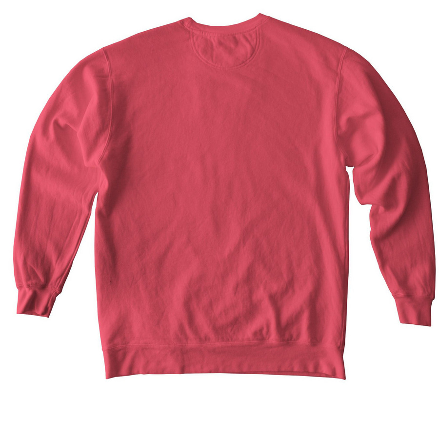Palms of Adroit, a Watermelon Comfort Colors Crewneck Sweatshirt (back-view)