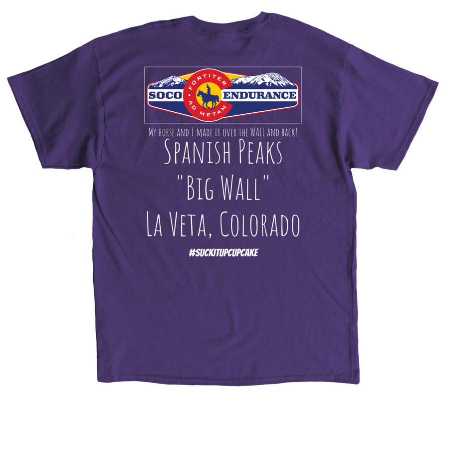 Over The Wall Club, a Purple Classic Unisex Tee (back-view)