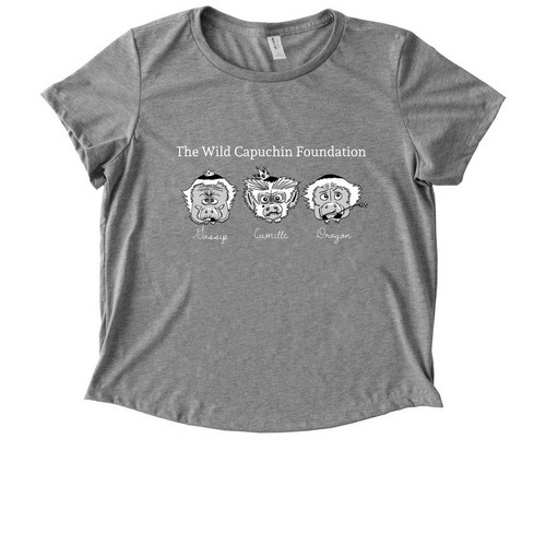 Love Triangle Monkey Tee, a Aluminum Grey Allmade Eco Triblend Women?s Scoop Neck Tee